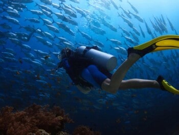 best scuba tanks