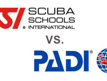 ssi vs padi