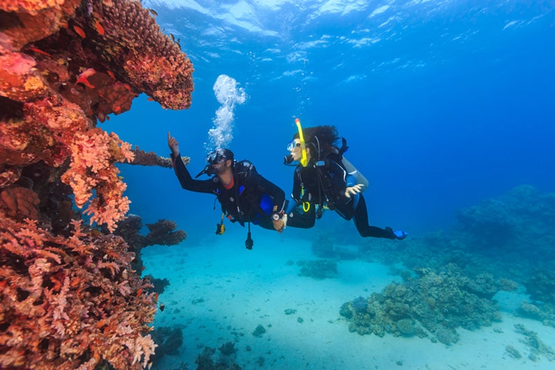 Requires 40 open dives to participate in the NAUI Divemaster course
