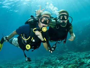 how much does it cost to go scuba diving