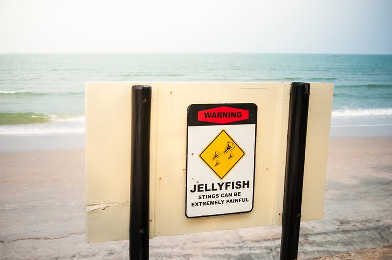 Jellyfish warning sign