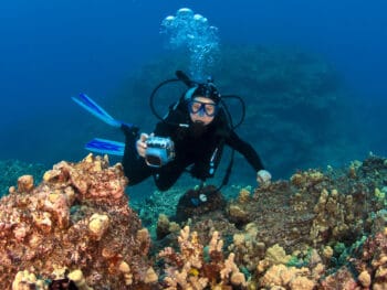 Scuba Diving in Hawaii