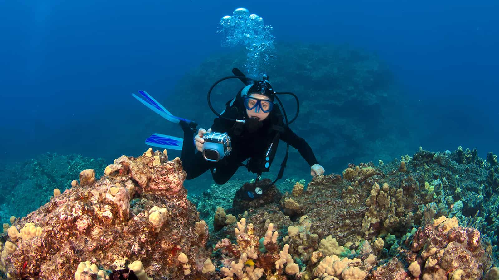 Scuba Diving in Hawaii