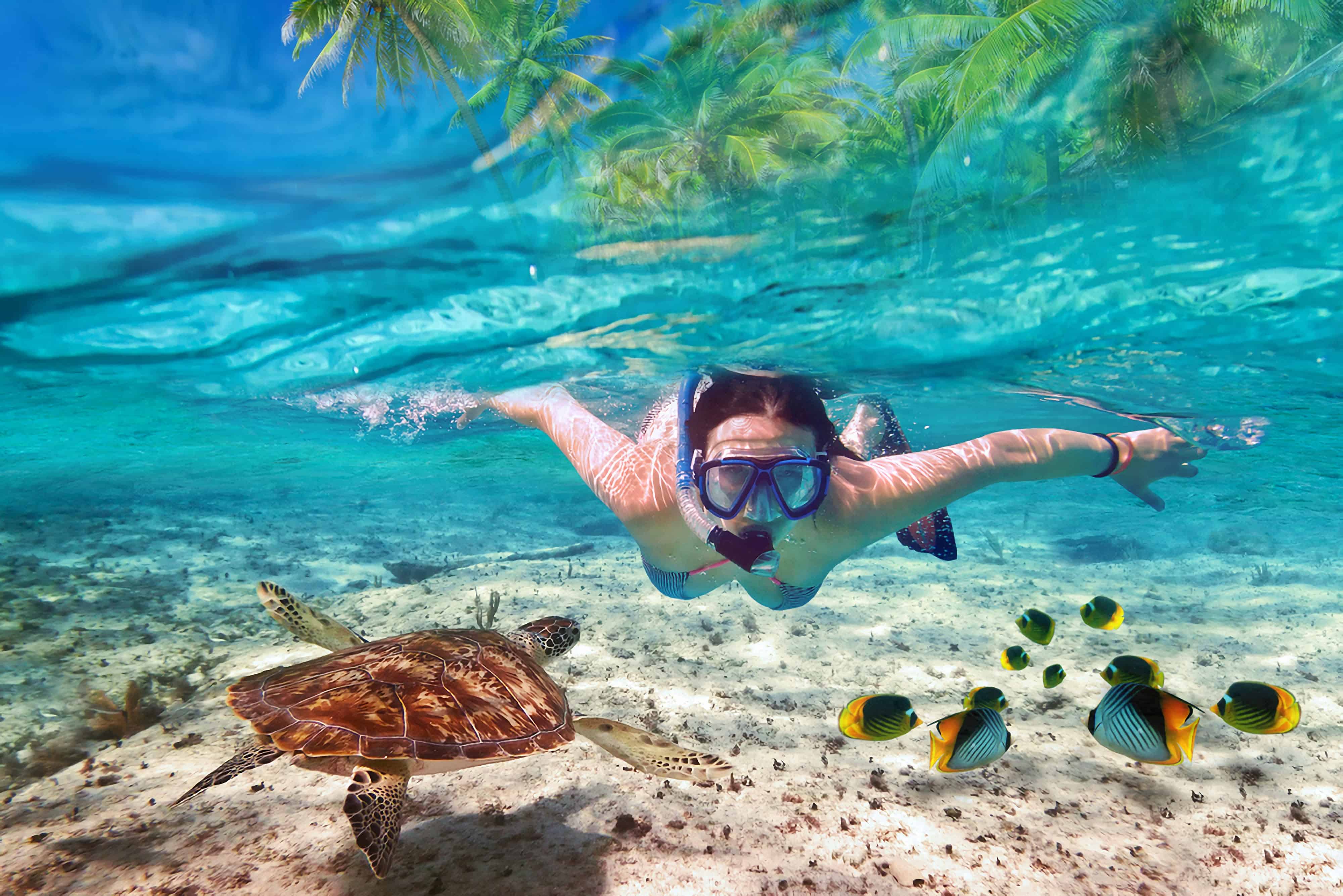 Snorkeling