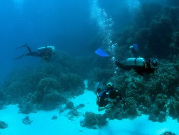 scuba diving kauai