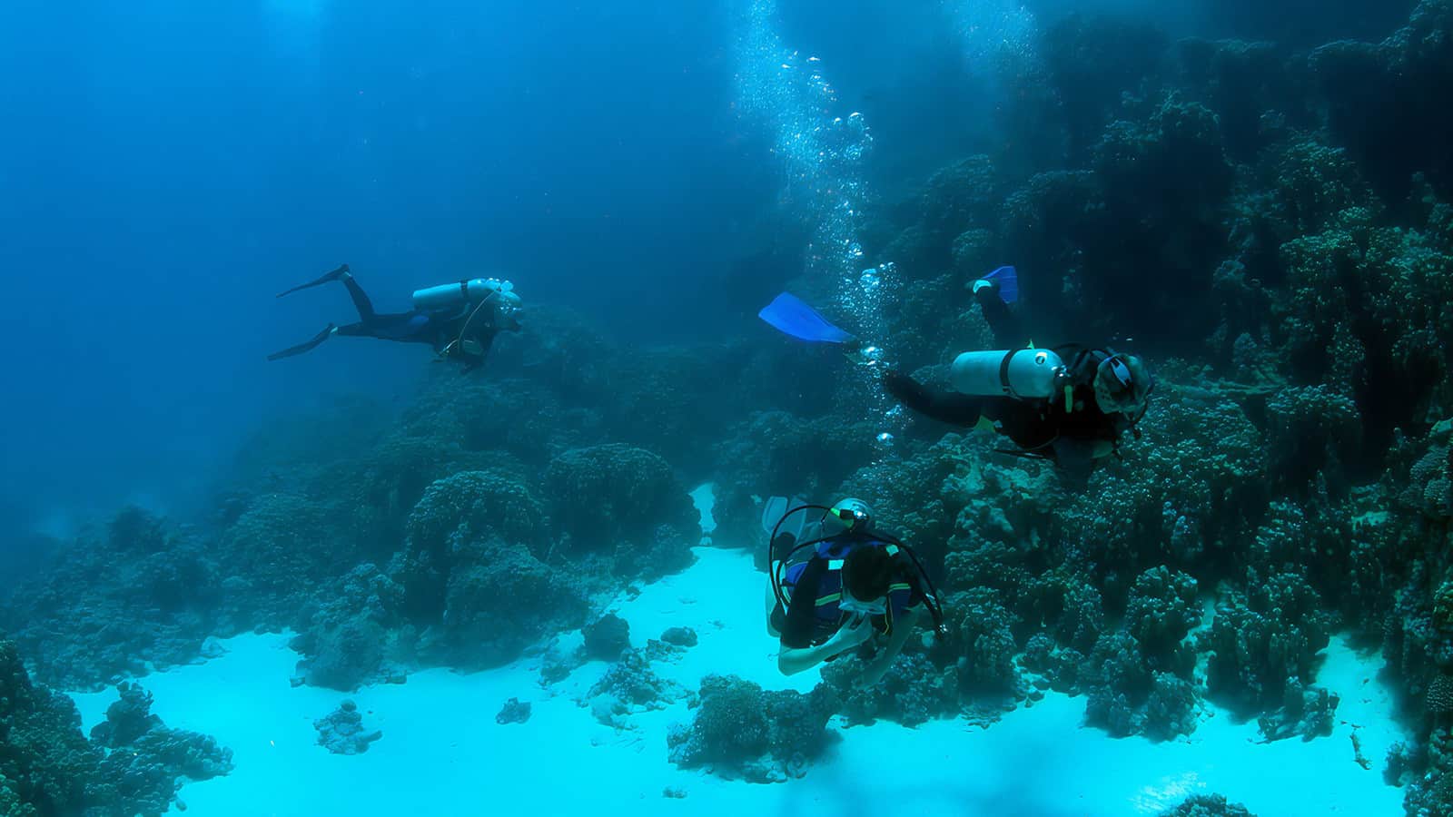 scuba diving kauai