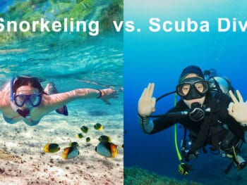 snorkeling vs scuba diving