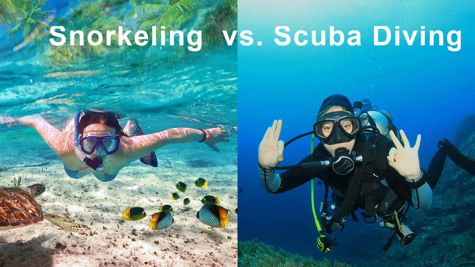snorkeling vs scuba diving