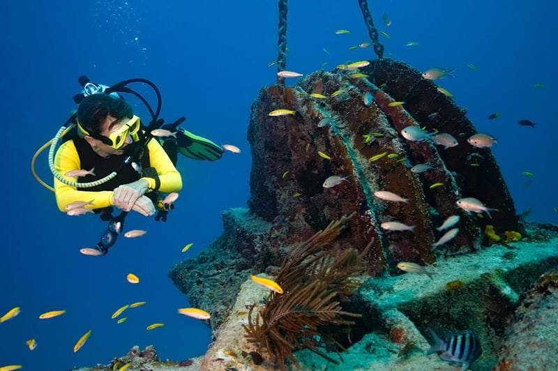 Discover shipwrecks and schools of fish while diving in Panhandle