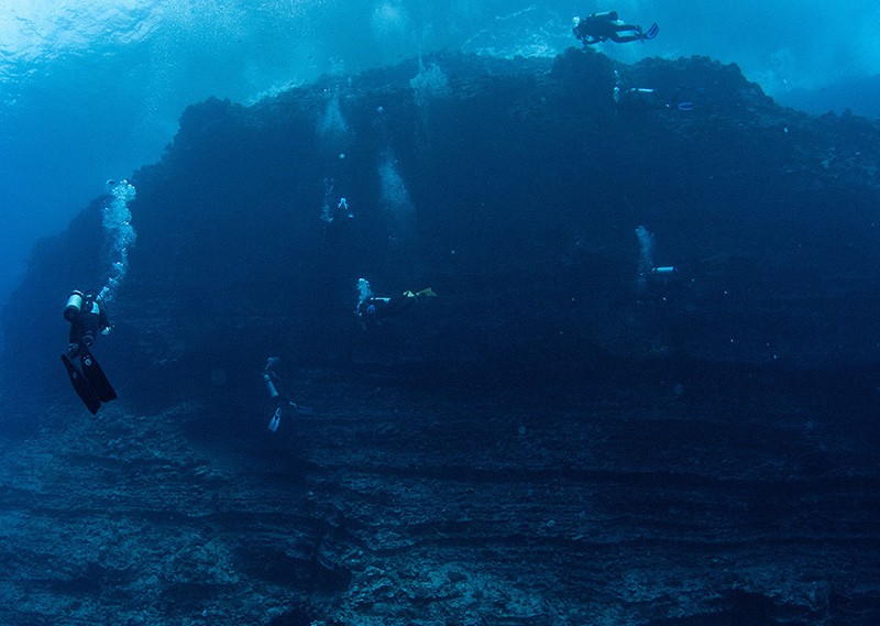 Diving the Backwall at Molokini