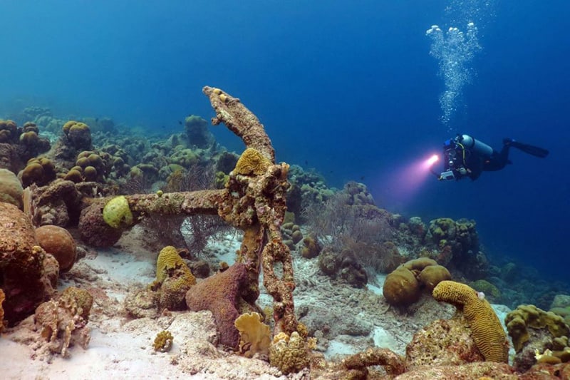 Wreck diving in Destin