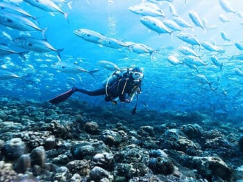 scuba diving in destin