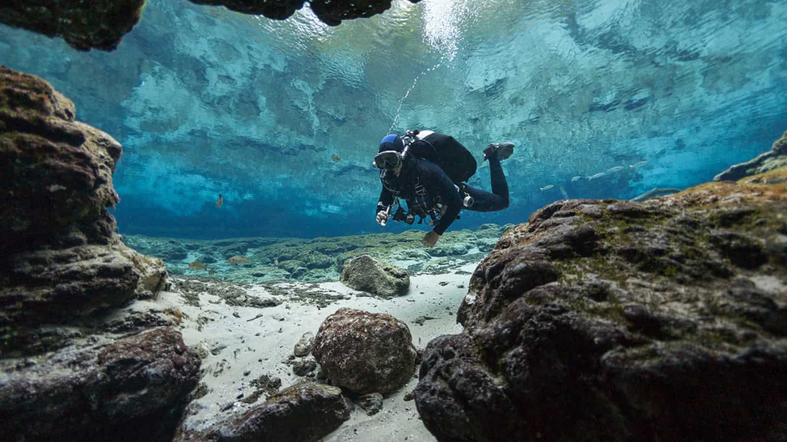 scuba diving in florida