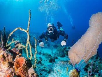 scuba diving in maui