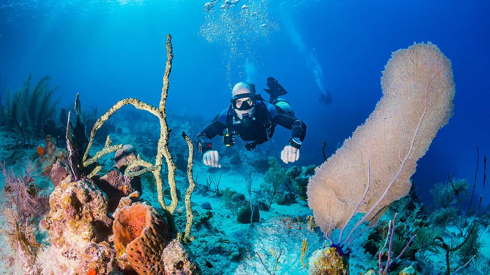 scuba diving in maui