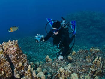 scuba diving in molokai