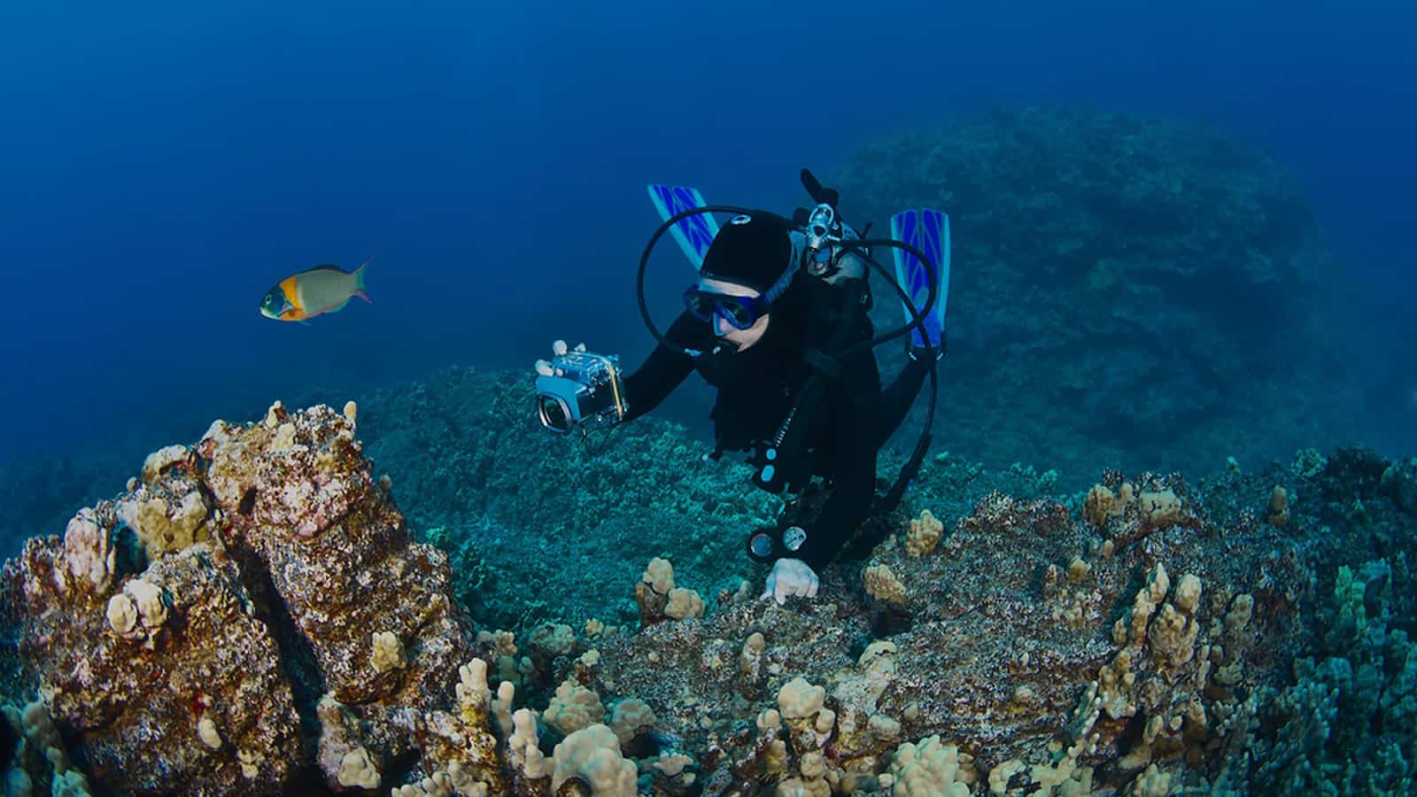 scuba diving in molokai