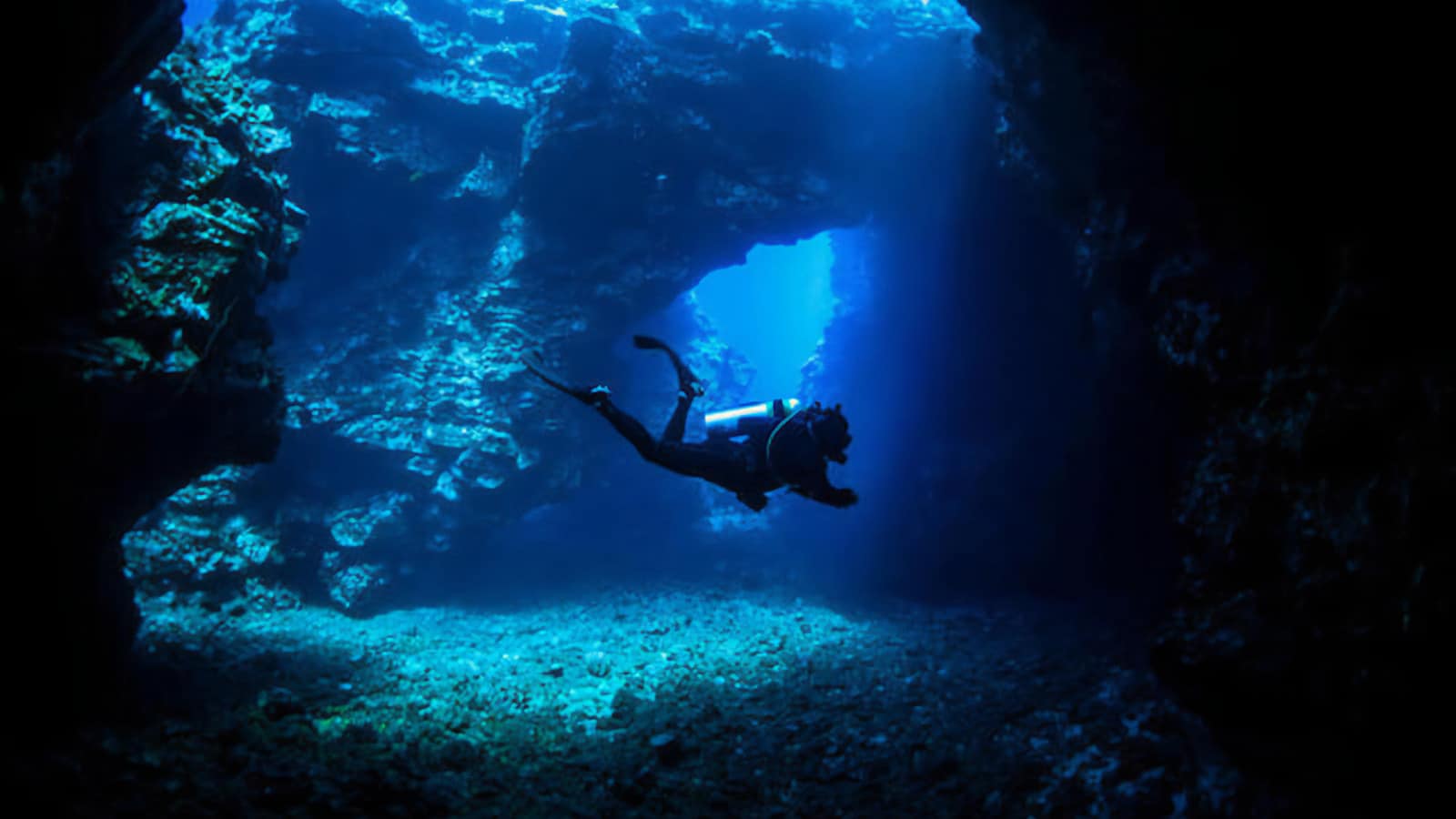 scuba diving lanai