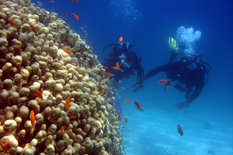 An instructor guides a diver on his first experience