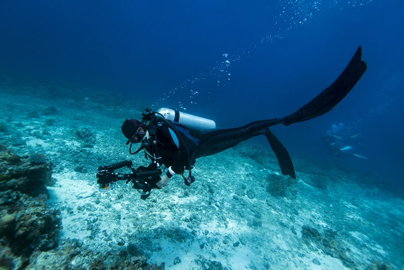 Diving under the water of Venice leads you to another magical world