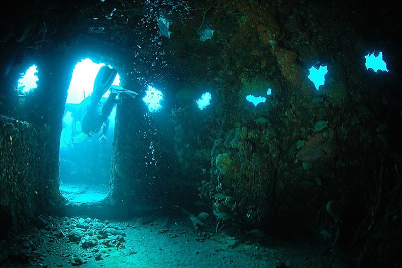 Explore an army tank in Venice, Florida (via venicedivecenter.com)