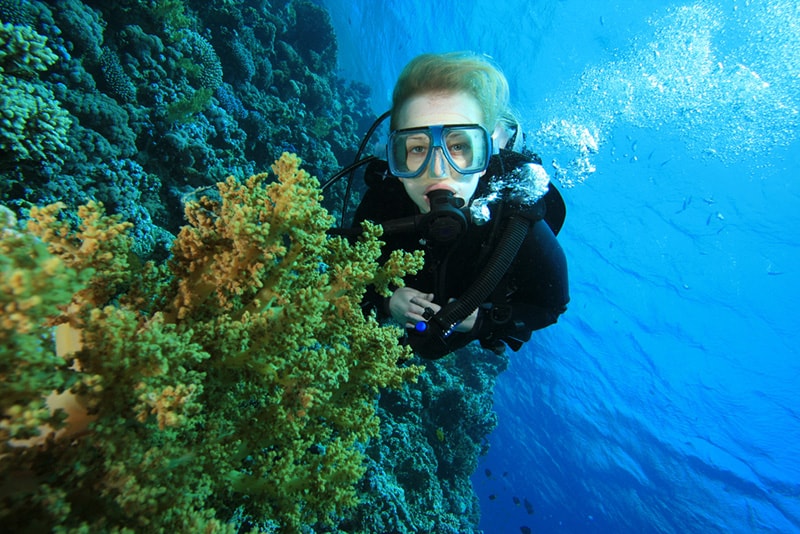 Explore coral reefs in Venice, FL