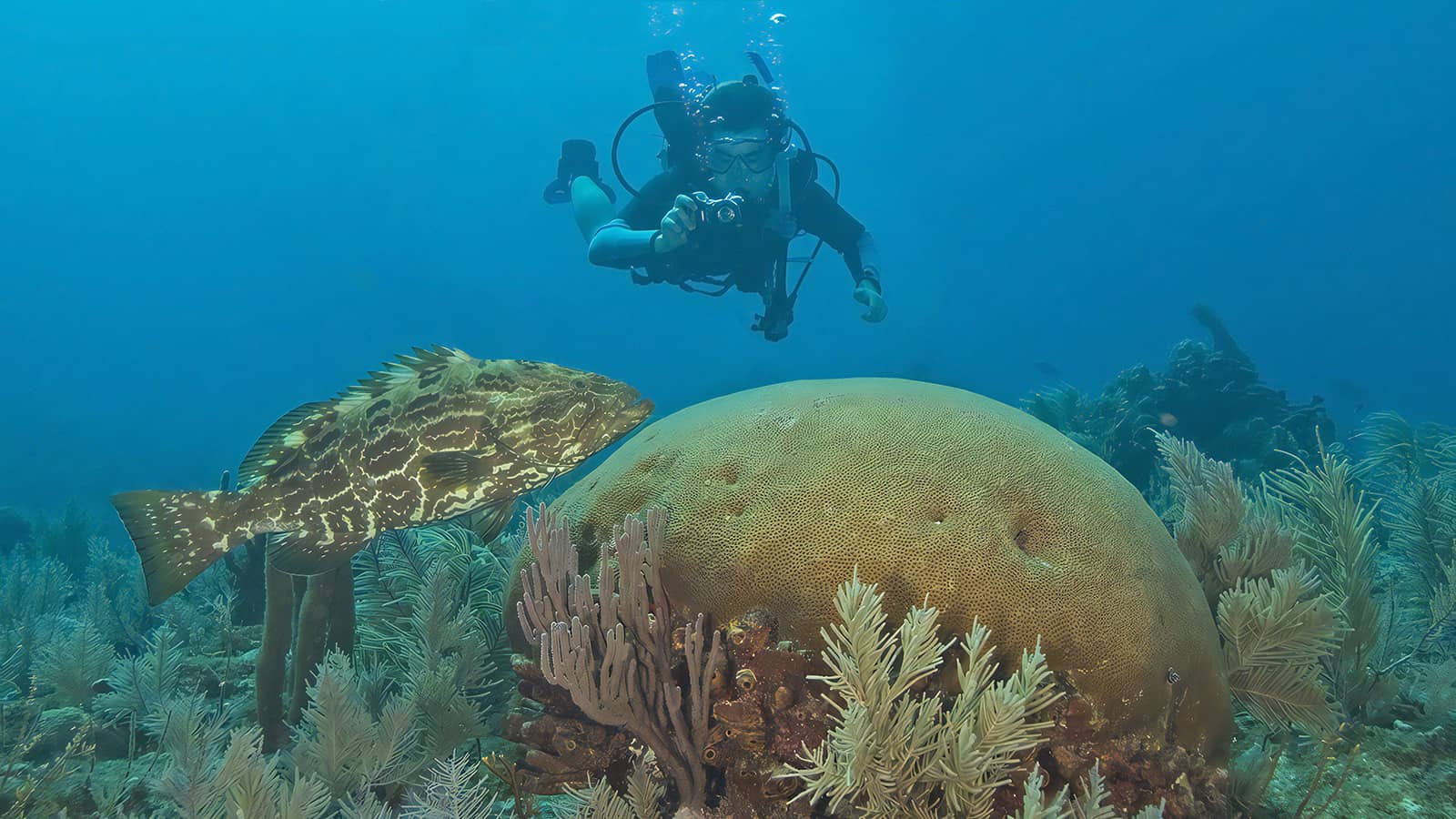 Scuba Diving Florida Keys