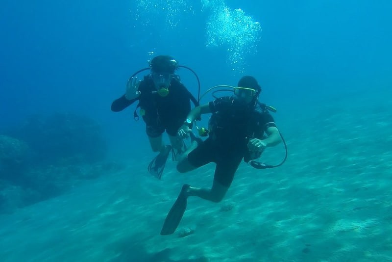 Two divers under the water of Siesta Key
