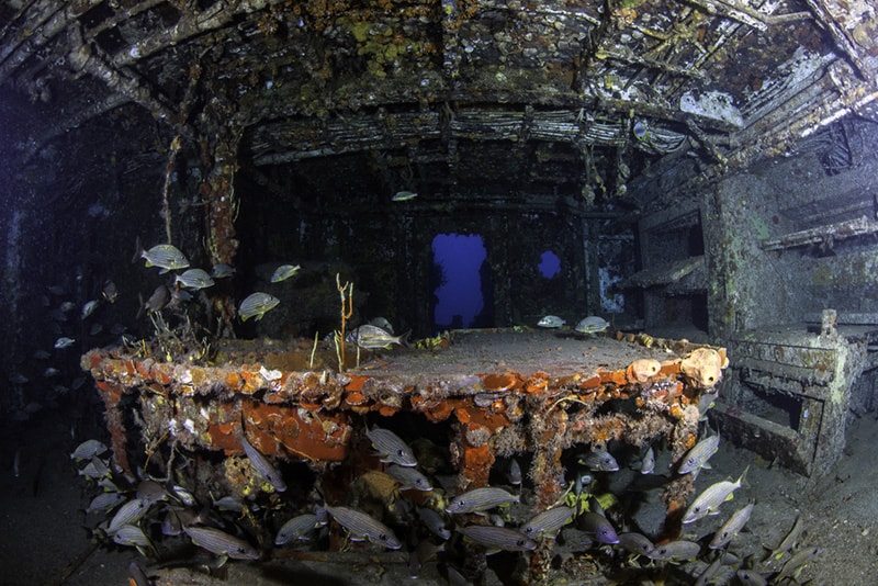 the Duane Wreck in Islamorada