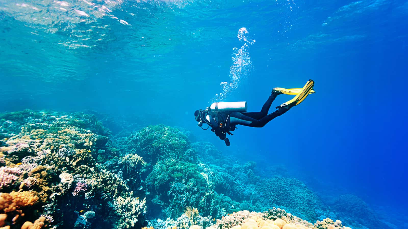 how dangerous is scuba diving