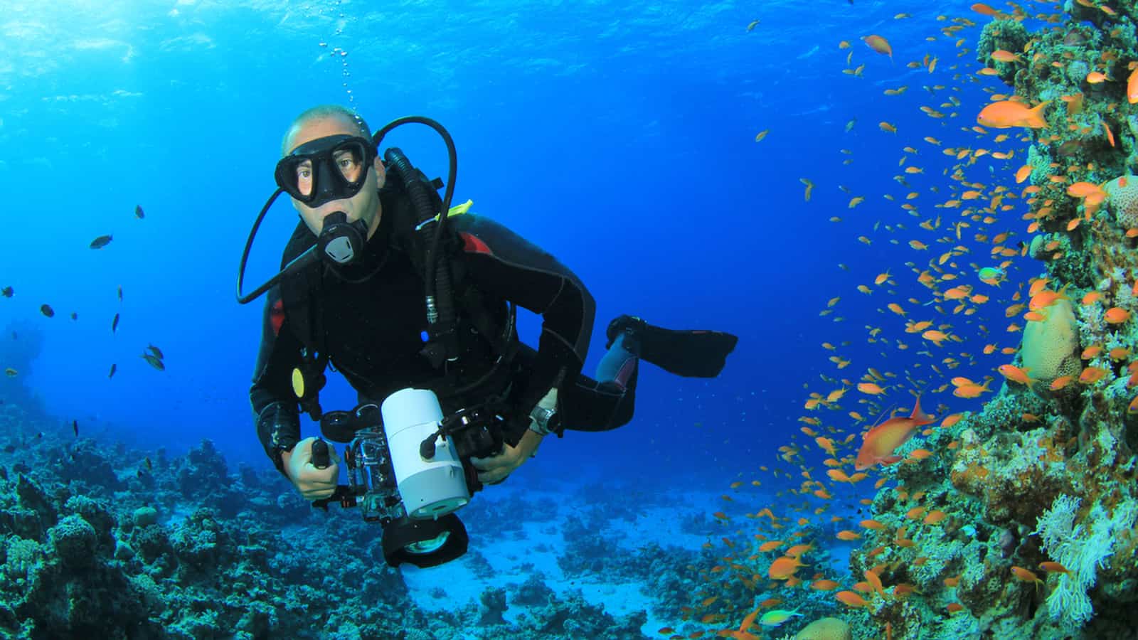 What to Wear When Scuba Diving Dive Aeris