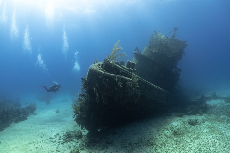 You-can-see-many-shipwrecks-in-Pensacola