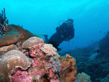 Scuba-Diving-South-Florida