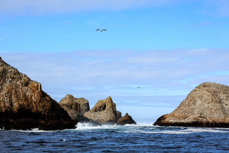 Farallon-Islands