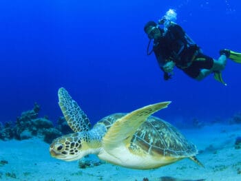 Scuba-Diving-in-Fort-Myers-Florida