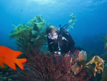 scuba-diving-in-california