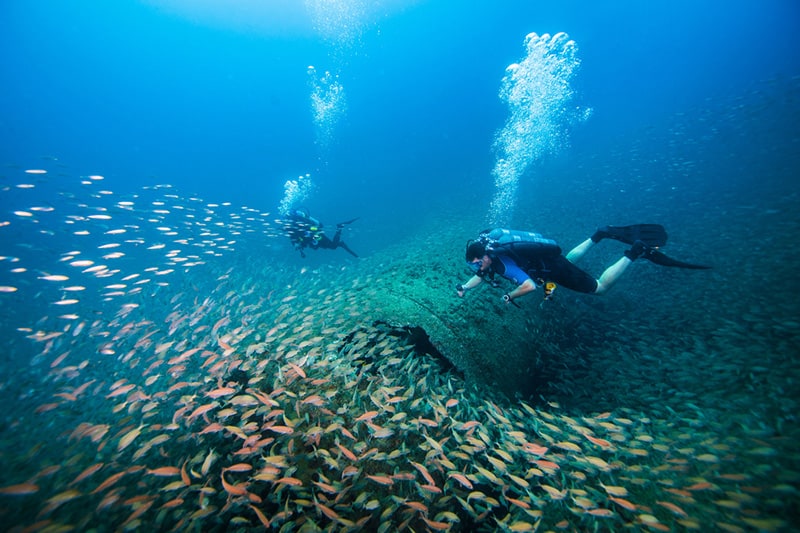 North-Carolina-is-renowned-for-excellent-wreck-diving