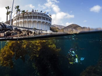 Scuba-Diving-in-Catalina-Island-California