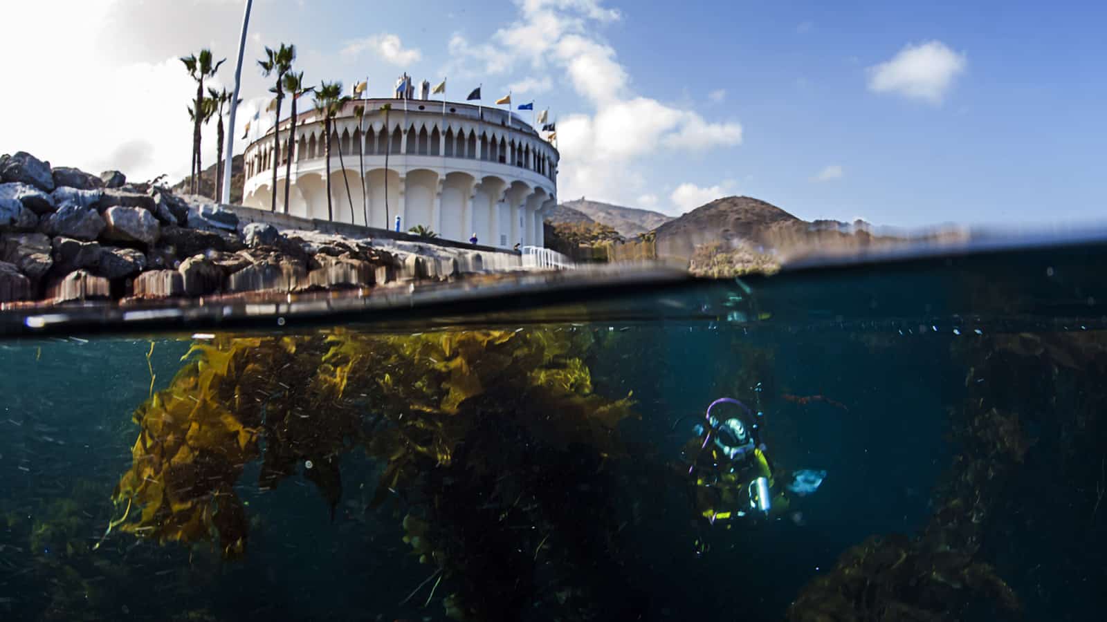 Scuba-Diving-in-Catalina-Island-California