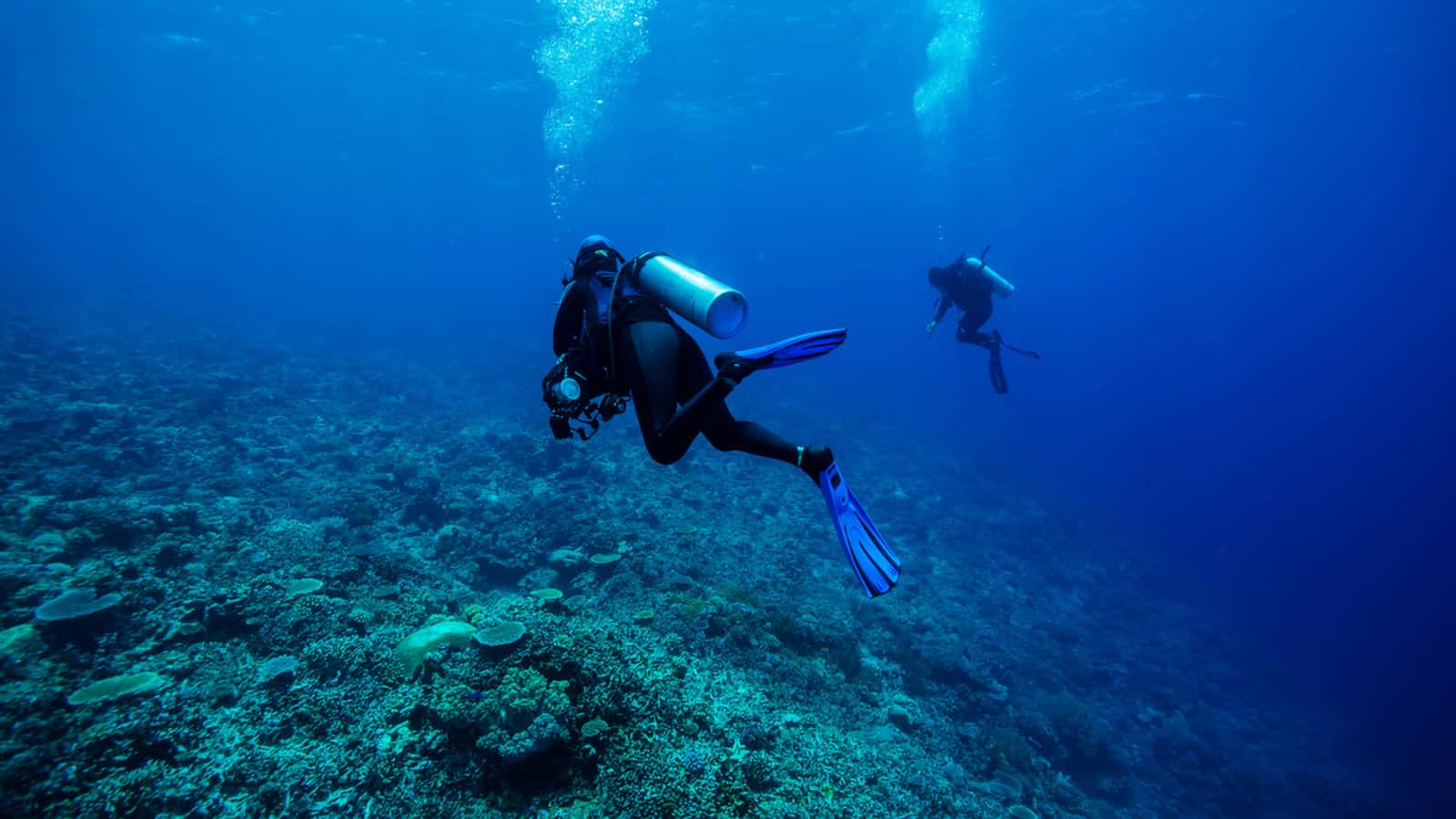 Scuba-Diving-in-North-Carolina