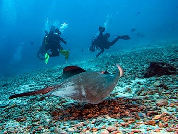 Scuba-Diving-in-San-Diego-California